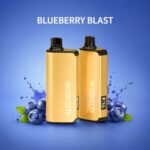 alibarbar 9000 puffs blueberry blast