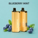 alibarbar 9000 puffs blueberry mint