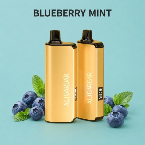 alibarbar 9000 puffs blueberry mint