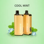 alibarbar 9000 puffs cool mint
