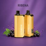 alibarbar 9000 puffs ribena