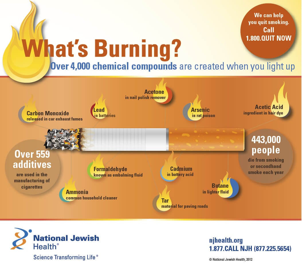 img stock cigarette infographi