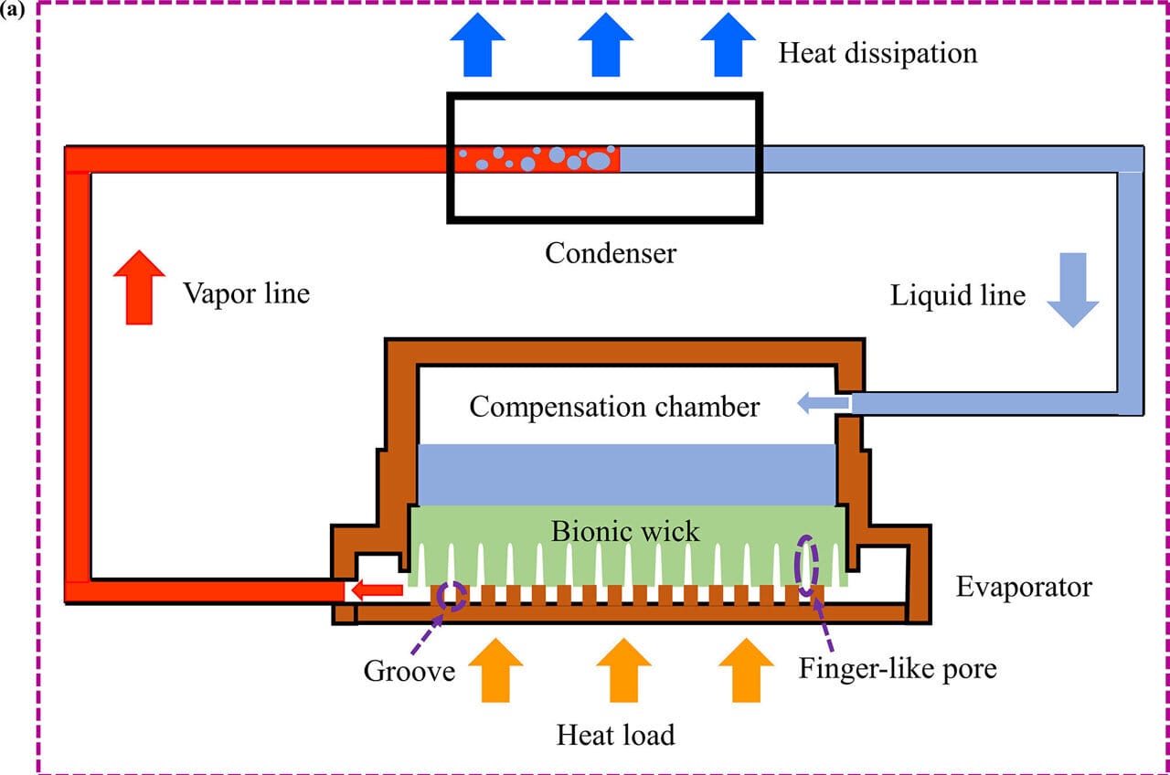 Diagram showing the internal components of a disposable vape, including the battery, heating element (coil), and wick.