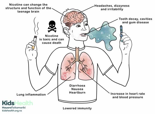 nicotine harmful effects v3 1